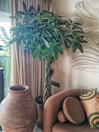 Interior Plant Styling