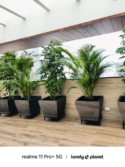 We transformed this indoor space with a series of sleek, square FRP planters on our custom-fit black metal stands. This setup creates a clean, modern green-belt effect, perfect for offices or covered patios.