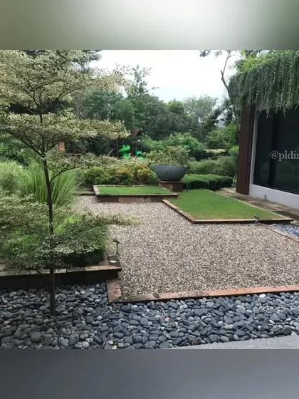 A specimen tree with variegated leaves stands in a bed of black river stones, providing a striking contrast. This is an example of how we use individual plants as living sculptures in our designs.