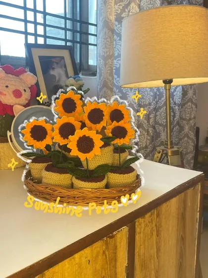 A whole tray of my "Sunshine Pots." These little potted sunflowers are perfect for gifting to your human sunflower or for adding a pop of cheer to your own desk.