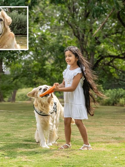 Playtime in the park! A girl runs with a frisbee, her Golden Retriever, Gundu, right beside her, ready to catch. This action shot is full of life and joy, capturing the energetic side of a kid and dog photoshoot.