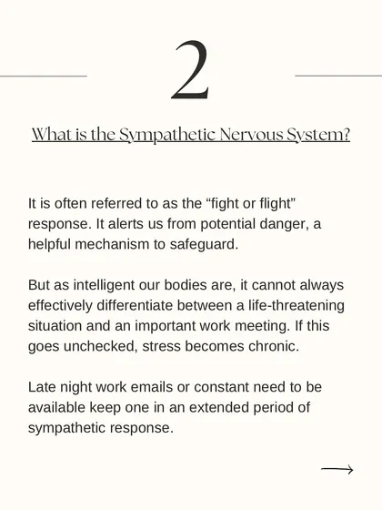 Explaining the Sympathetic Nervous System, our "fight or flight" response. Chronic stress can keep us in this state, and yoga can help us learn to down-regulate.