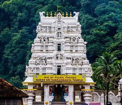 The Kukke Sri Subramanya Temple is a sacred place for performing rituals to overcome Sarpa Dosha. Here, Lord Subramanya is worshipped as the protector of serpents, offering blessings and relief.