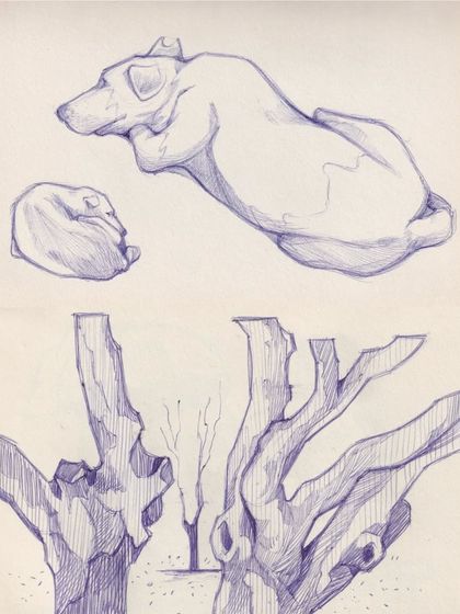 More sketches from the same day, focusing on the shapes of tree trunks and the comfortable poses of sleeping dogs I saw in the park.