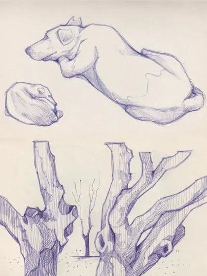 More sketches from the same day, focusing on the shapes of tree trunks and the comfortable poses of sleeping dogs I saw in the park.