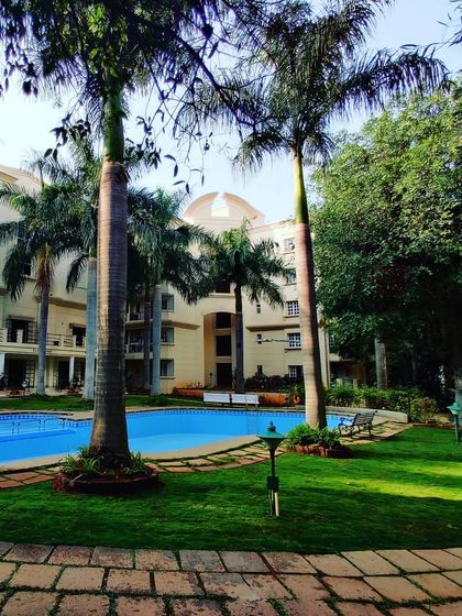 Another angle of the completed poolside landscaping. The tall palm trees were already there, and my design for the lawn and garden was made to complement them.