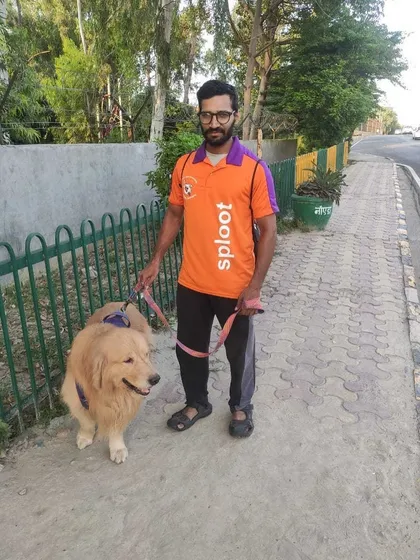 A beautiful Golden Retriever and his walker out for their daily constitutional. Consistency is key, and our walkers are committed to your dog's routine.