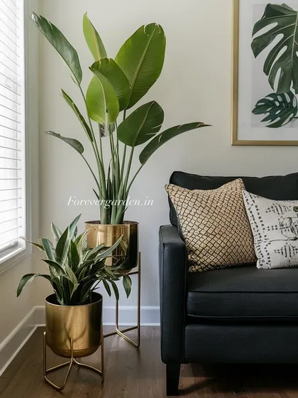 A stylish living room corner featuring an artificial bird of paradise and a smaller plant in matching gold planters on stands. This is a chic and modern way to display faux plants.