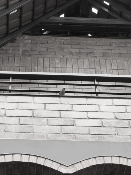 Design Kacheri - Residential Architecture Earthy & Eco-Conscious Homes photo 26