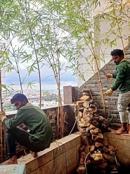 This balcony project in Arekere, Bengaluru, involved more than just pots. My team and I installed tall bamboo plants to create natural privacy and built a small stone water feature, transforming the space into a serene, zen-like retreat.