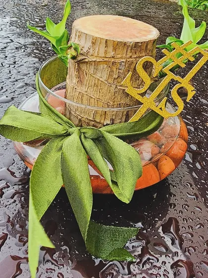 Another look at our Raksha Bandhan special, the Brazilian Wood plant. It's low-maintenance and stylish, making it a perfect gift for your sibling.