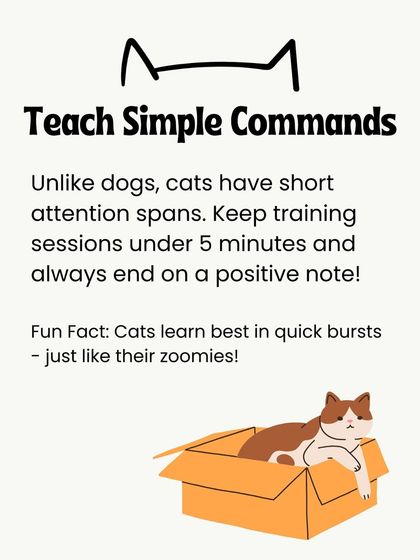 Oh My Dawg - Pet Supplies For New Pet Parents photo 26