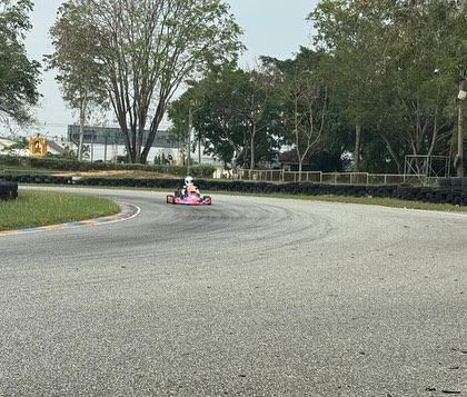 A duplicate shot of the driver in the pink kart.