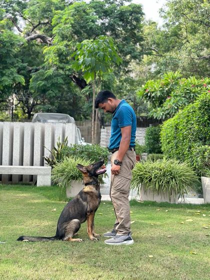 Advanced Obedience & Engagement photo 8