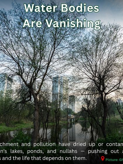 Pollution doesn't just hurt us; it destroys biodiversity. At our sites, we are reversing the damage caused by disappearing native flora, collapsing soil ecosystems, and blocked migration routes.