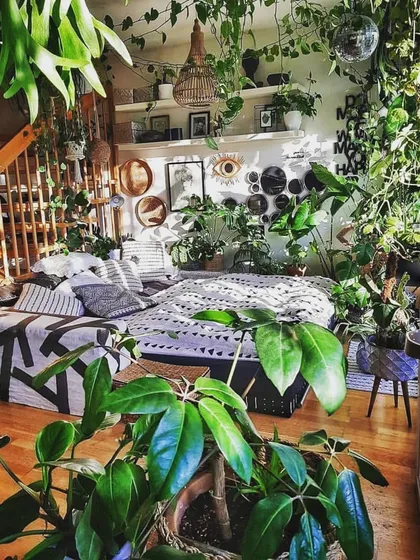 We believe that filling your home with plants is like buying happiness. This beautiful, sun-drenched room is our ultimate goal for you, a personal jungle where you can relax and grow.