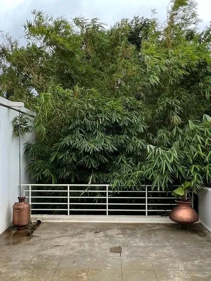 The terrace of our studio is cocooned by the crowns of bamboo trees, creating a private and secluded rooftop oasis that feels removed from the city below.