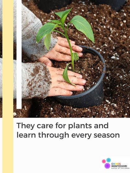 Chimes Montessori - Afternoon Montessori Program A Place to Belong photo 47