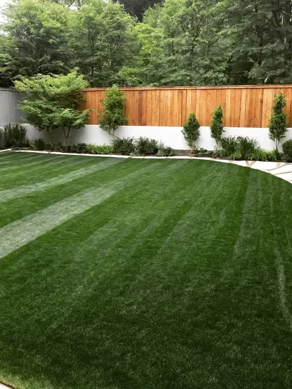 A backyard with a curved lawn edge against a stone patio. The two-tone fence of white and wood adds a modern touch to the landscape.