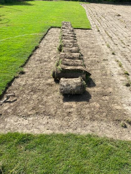 Rows of freshly cut turf rolls, ready to be laid down. This method allows for an instant lawn transformation.