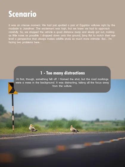The scenario for the vulture shot. We spotted the pair by the roadside and had to approach slowly. My first frames had too many distractions, like the road markings.