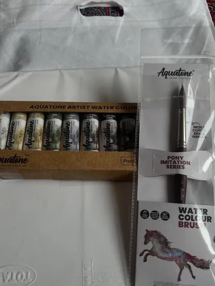 New Aquatone artist watercolors and a pony imitation brush. These little things bring immense happiness and support art businesses.