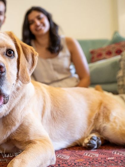 Pragalbh - Fine Art Pet Photography Family & Me photo 3