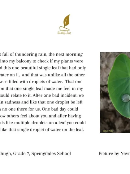 I am always baffled by the deep thoughts that emerge from young minds. Janya, an eleven year old, wrote this reflection after seeing a photo of a single drop of water on a leaf. She related it to the feeling of being alone after a bad incident, a profound connection between nature and human emotion.