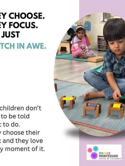 This is the heart of our philosophy. We trust children to follow their curiosity, and in doing so, they develop a focus and a love for learning that lasts a lifetime.