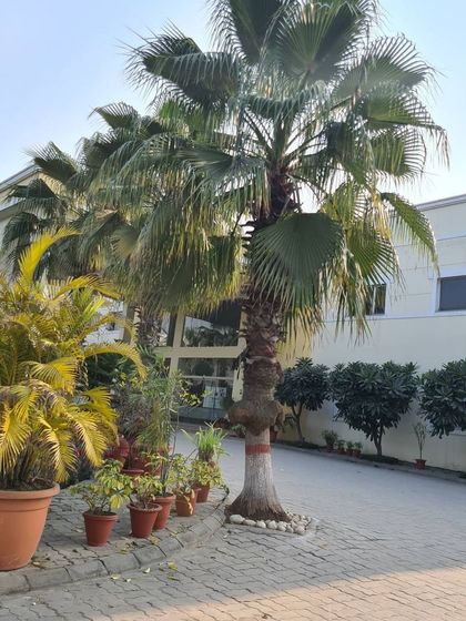 Urban Green Nursery - Landscaping and Garden Design Large-Scale Landscaping & Design photo 5