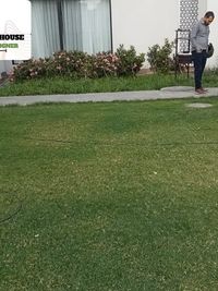 Garden & Lawn Maintenance