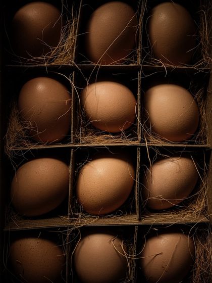 Food & Beverage Stories photo 13