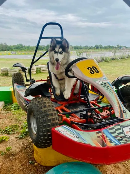 A rare and welcome sight. Our facility is pet-friendly, with a huge pet park and boarding right on location, so your furry friends can come along.