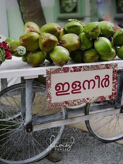 Another view of the charming coconut water cart, a perfect addition to a warm, outdoor celebration.