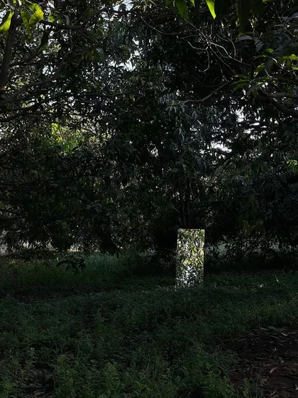 A mirrored mock-up disappears into the landscape, reflecting the surrounding greenery. We use these studies to explore ideas about form, materiality, and the building's relationship with nature.