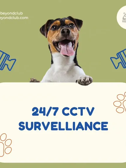 Your pet's safety is my top priority, always. Our entire facility is monitored by 24/7 CCTV surveillance, so you can relax knowing your best friend is in safe hands.