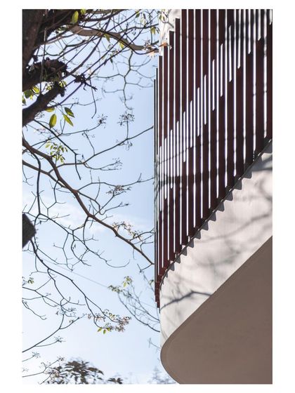 An abstract view looking up at the facade of the 'House Under Tabebuia Trees', where the clean lines of the architecture meet the organic forms of the tree branches against the sky.