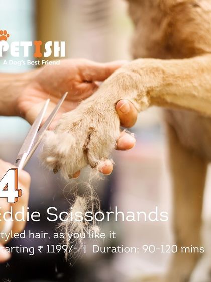 Petish Grooming - Mobile Grooming for Dogs & Cats Our Grooming Packages photo 10