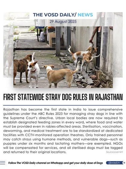 Rajasthan has become the first state in India to issue comprehensive, statewide rules for managing stray dogs. The guidelines mandate feeding zones, standardized medical facilities, and humane capture methods.