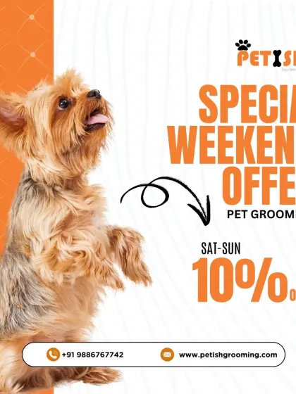 Petish Grooming - Mobile Grooming for Dogs & Cats Special Offers & Festive Deals photo 3