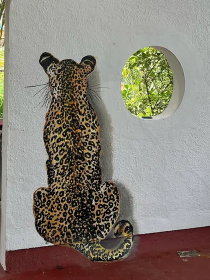 A closer view of the leopard, showing the detailed spot pattern and its relaxed posture.