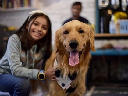 A young girl poses with a handsome Golden Retriever. The smiles on both their faces show the pure joy of these interactions.