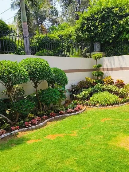 A wider view of a landscaping project, showing how sculpted topiaries and well-defined garden beds can transform a simple lawn into an elegant and structured landscape.