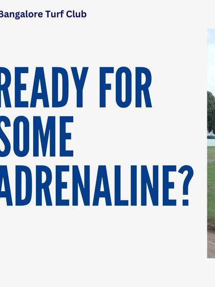 Ready for some adrenaline? The November racing season is here with heart-pounding excitement.