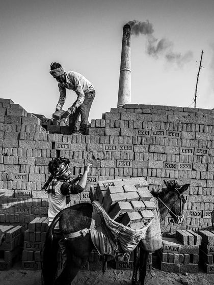 Workers load bricks onto a donkey at a kiln, a black and white photograph that illustrates the collaboration between man and animal in this line of work.