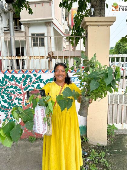 A volunteer joyfully holds up large cuttings of the Peepal tree. These will be used for propagation in our nursery, a sustainable method to grow more trees without relying solely on seeds.
