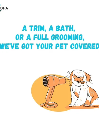 Whether your pet needs a quick trim, a refreshing bath, or a full grooming makeover, I have you covered. My services are designed to meet any need.