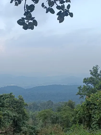 The view from a high point overlooking the vast forests of the Kanha landscape. The sense of peace and scale you get from up here is truly breathtaking.