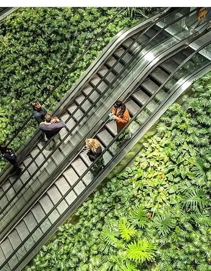 Our capabilities extend to large-scale commercial projects that make a bold environmental statement. Here, we flanked a multi-story escalator bank with a massive, thriving vertical garden, transforming a functional transit space into a breathtaking green experience for thousands of daily visitors.