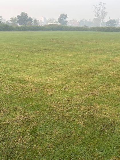 Another view of a large grass field, showing the consistent quality and color across the entire area.